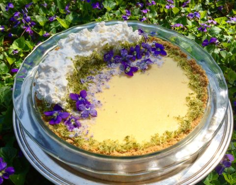 Lime Pie with Violets